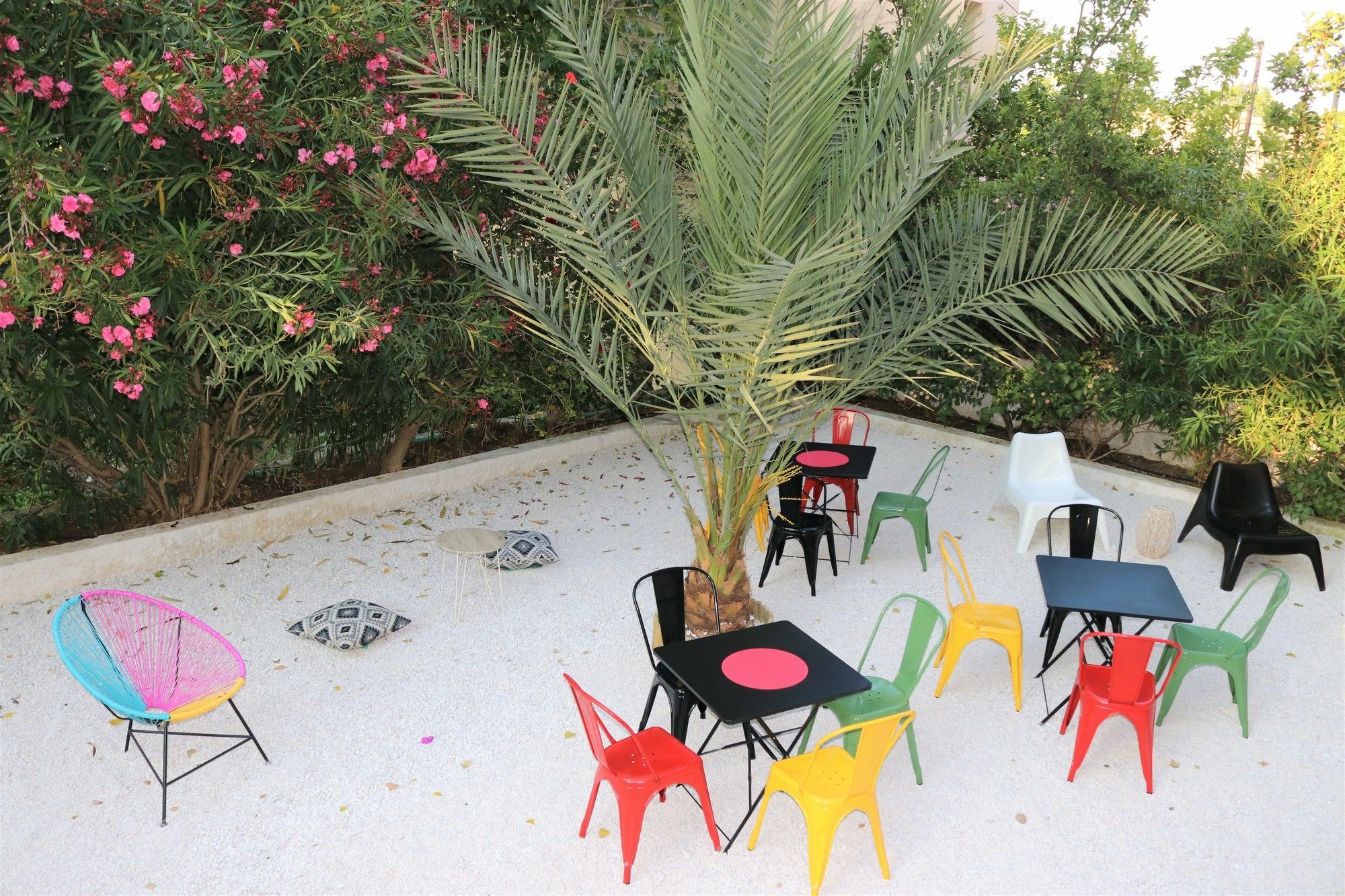 The Bongos - Socially Conscious Rooms, Part Of The Room Rate Goes To Charity Platanés Buitenkant foto